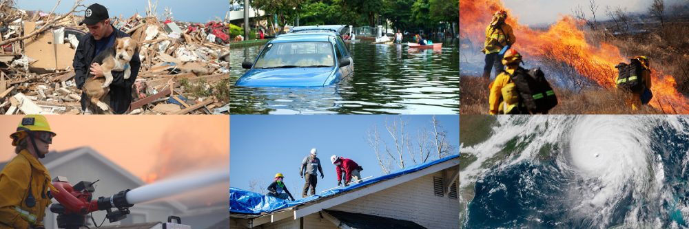 Defy:Disaster twitter collage